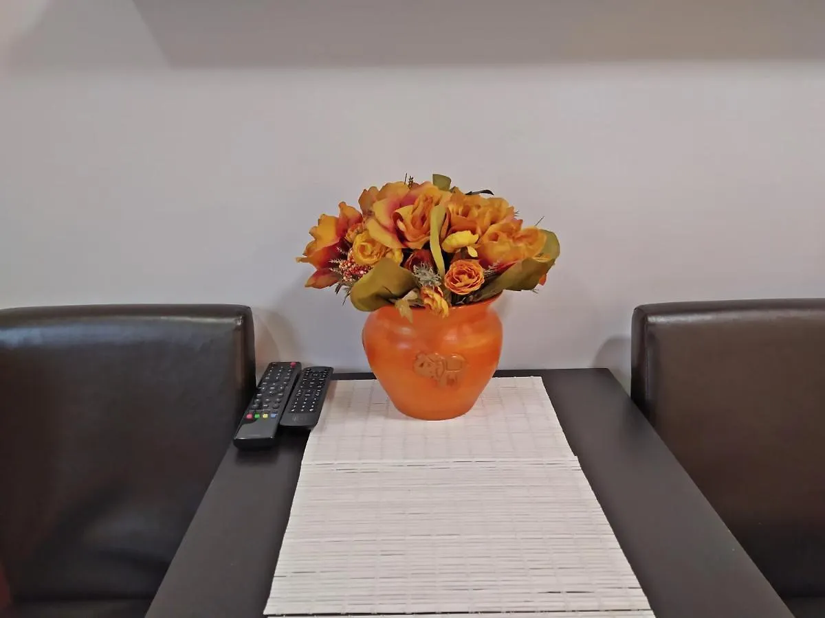 Zellervar Apartman 埃格尔